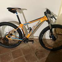 Mtb Torpado Nearco Plus