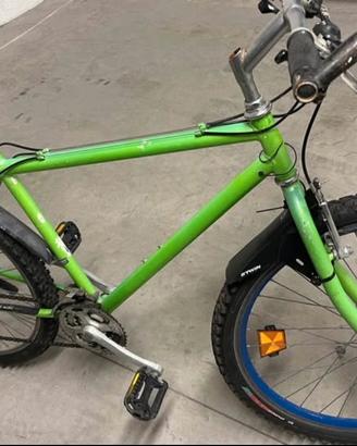 Mountain Bike