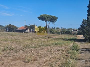 Abitazione con terreno (Marconia)