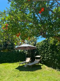 Casa Vacanze in Villa con Piscina