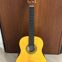 Chitarra Stealton