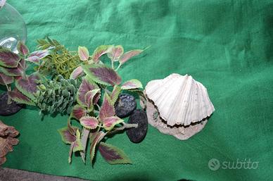 Acquario completo 200 litri + pesci tropicali