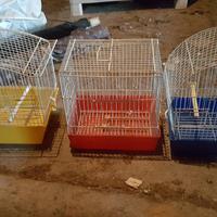 Gabbie uccelli piccole