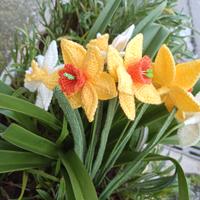 Fiori all'uncinetto, narciso fatto a mano