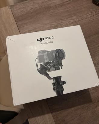 Stabilizzatore Ronin