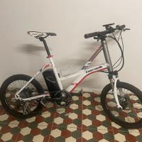 Bici elettrica