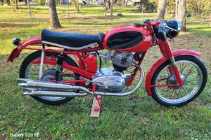Moto Morini175Settebello