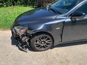 Lexus incidentata