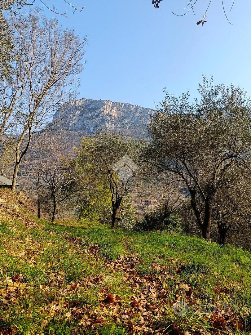 TER. AGRICOLO A FINALE LIGURE - Vista 4