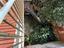 Immagine 20