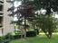 Immagine 11