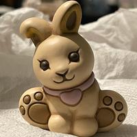 Thun coniglietto ed limitata bauli