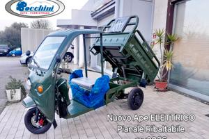 New Scooter Pick up Elettrico Pianale Ribaltabile