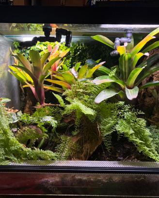 Terrario con sfondo 3D su due lati (trattabile)