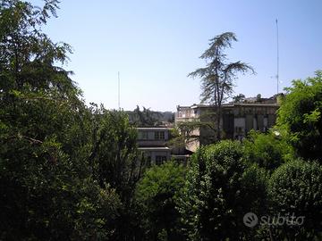 Appartamento Roma [Cod. rif 507ARG] (Cassia)