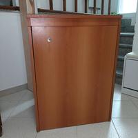 Mobile Asse da stiro aspirante