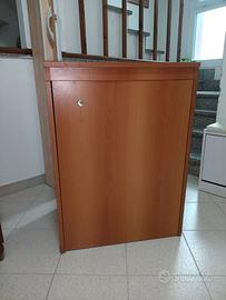 Mobile Asse da stiro aspirante