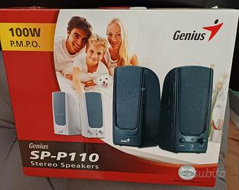 Altoparlanti esterni da 100W per pc