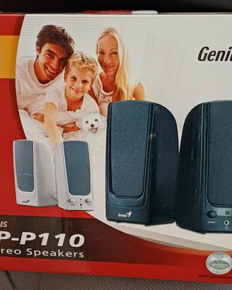 Altoparlanti esterni da 100W per pc
