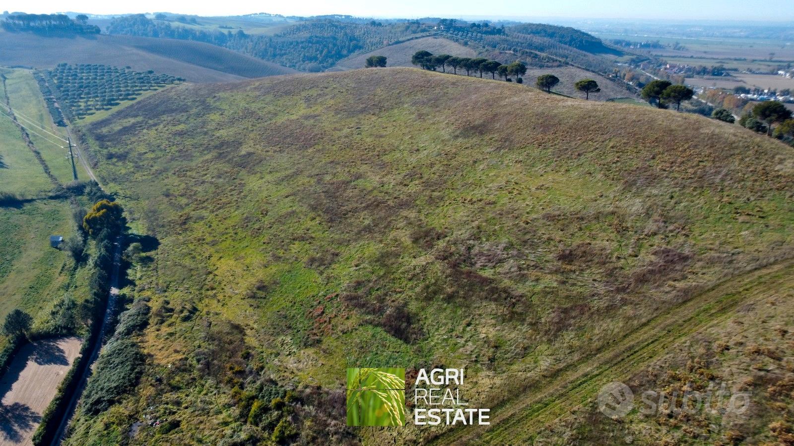 Terreno agricolo collinare di 10 ettari - Vista 4