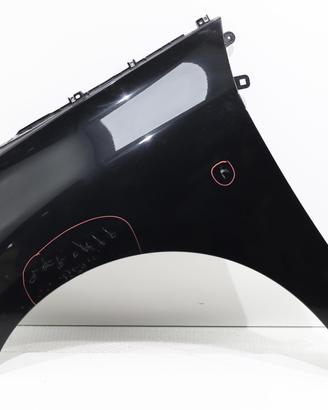 PARAFANGO ANTERIORE SINISTRO RENAULT Scenic Serie