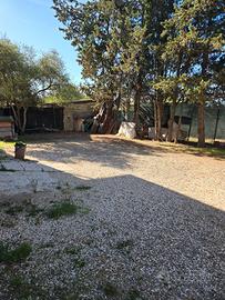 Indipendente con ampio giardino