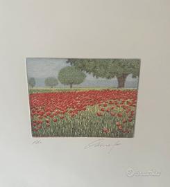 Stampa Oliviero Masi