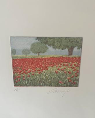 Stampa Oliviero Masi