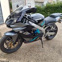 Kawasaki Ninja zx9r 900cc anno 2001 ASI