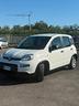fiat-panda-1-0-hybrid-city-life-2023