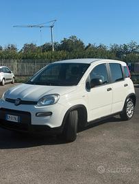 Fiat Panda 1.0 Hybrid City Life 2023