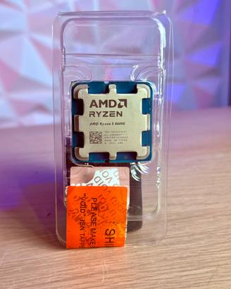 Ryzen 5 8600G CPU AMD Apu