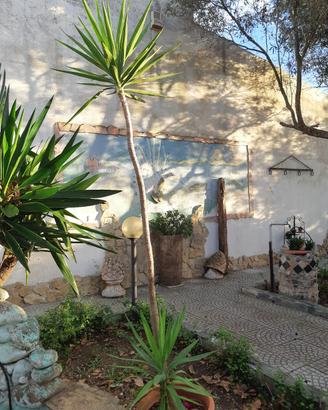 yucca