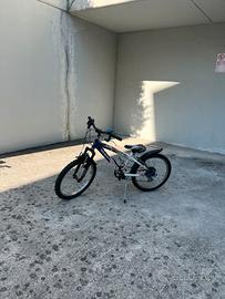 Bici torpado