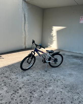 Bici torpado