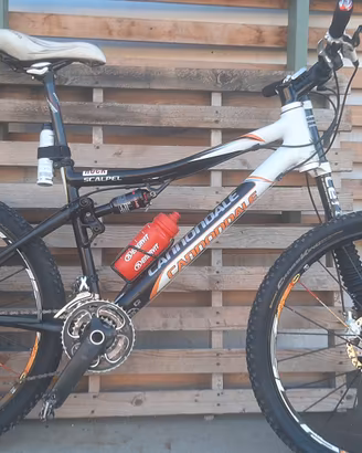 cannondale scalpel 2010