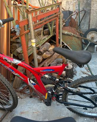 Bicicletta per ragazzo