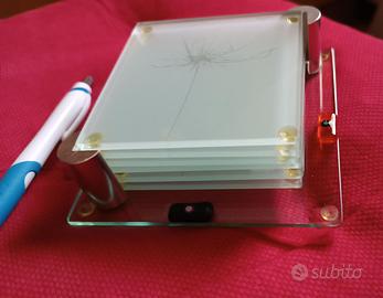 6 sottobicchieri in vetro satinato e contenitore