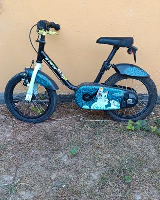 bicicletta 