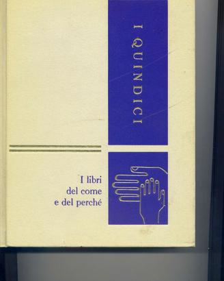 i quindici