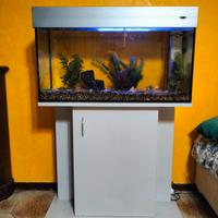 Acquario  Wromak 125 Lt