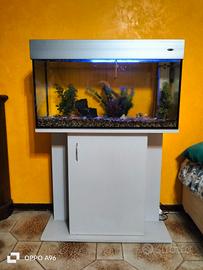 Acquario  Wromak 125 Lt