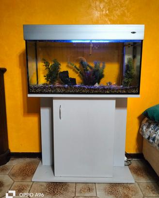 Acquario  Wromak 125 Lt