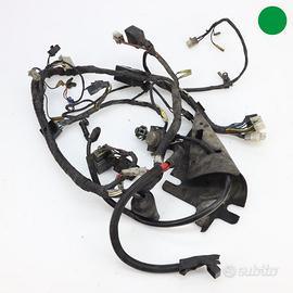 Impianto elettrico YAMAHA TDM