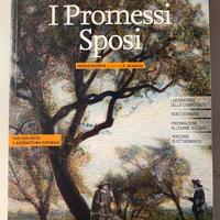 libri, I Promessi Sposi