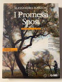 libri, I Promessi Sposi