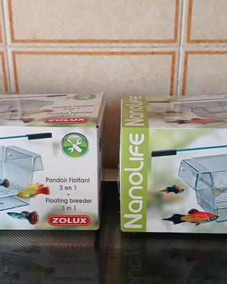 zolux nido galleggiante