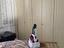 Immagine 23