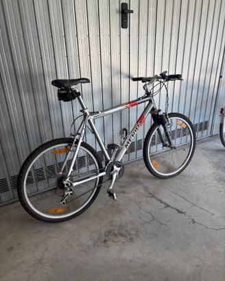 Bicicletta city bike mountain bike
