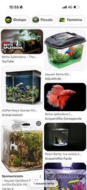 per acquario